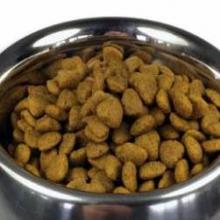 Produktbild Ami Dog Minis & Toys