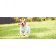 Product picture Animals in need! Benevo DUO